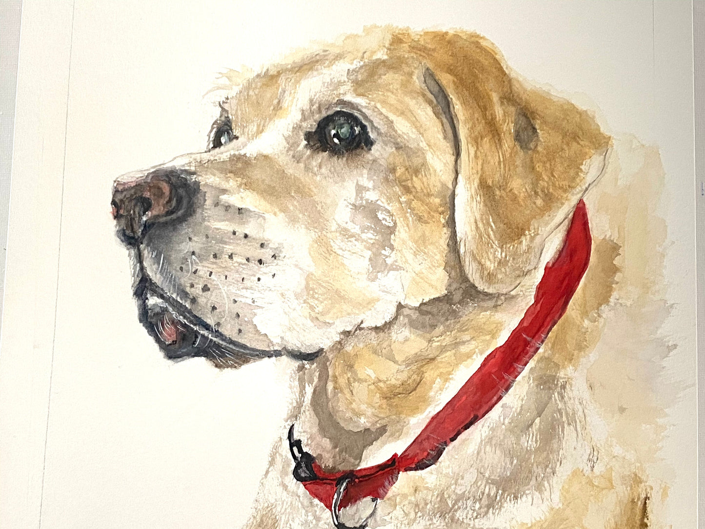 Commission Only - Custom Watercolor Painting Pet Portrait