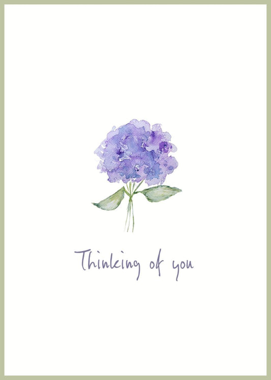 Thinking of You - Hydrangea flower