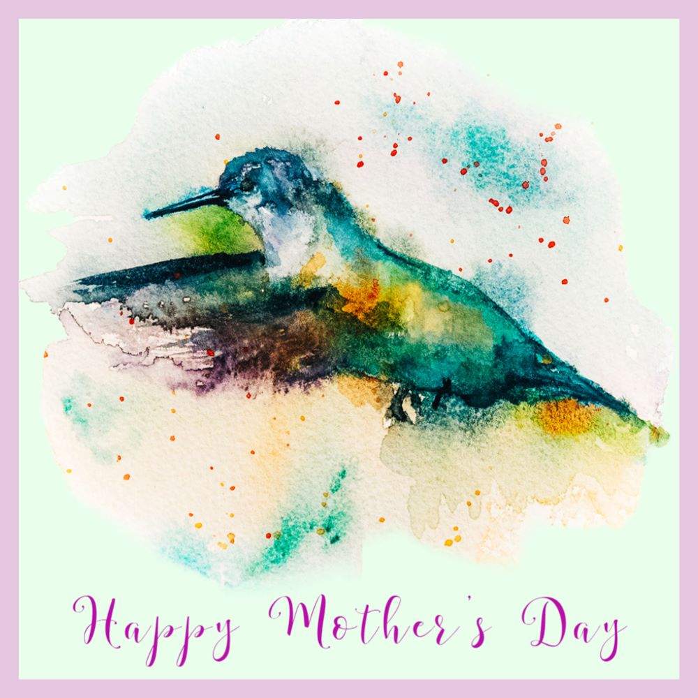 Hummingbird - Greeting Card