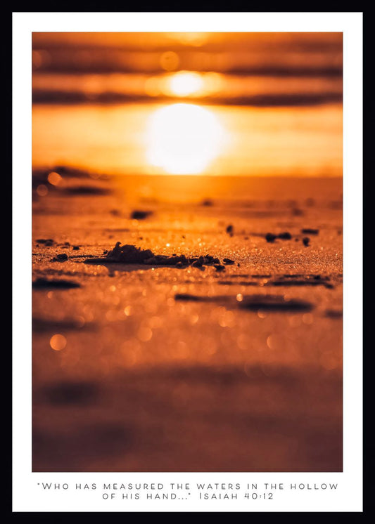 Ocean Sunset - Greeting Card
