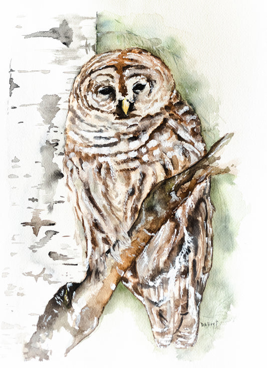 Owl - Fine Art Print of Original Watercolor Painting