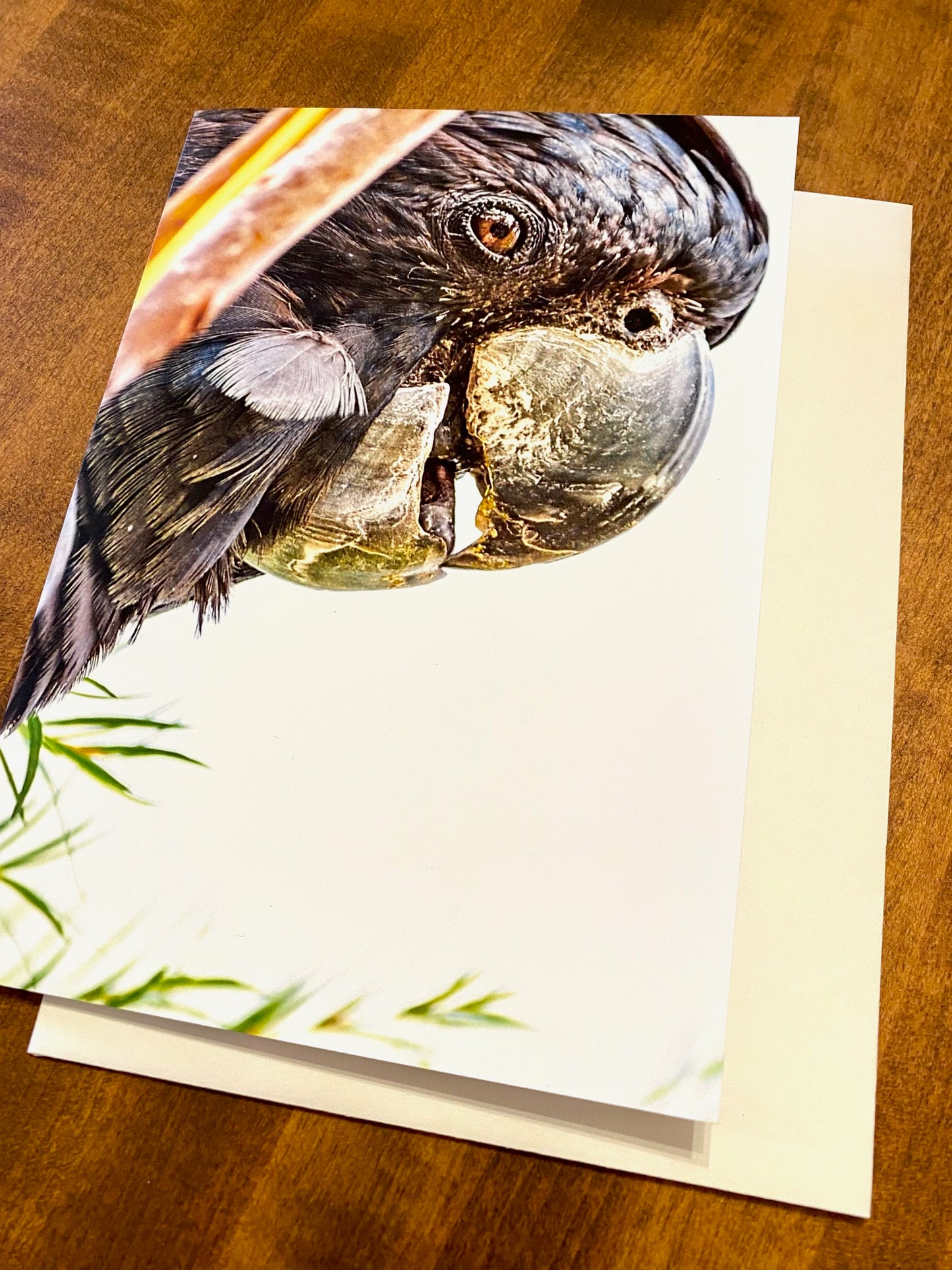 Red-Tailed Black Cockatoo - Greeting Card