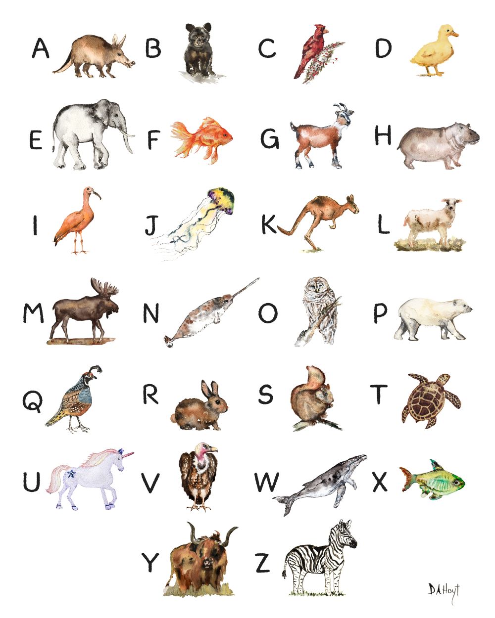 A to Z Animals