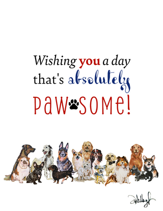 Greeting Cards - Everyday