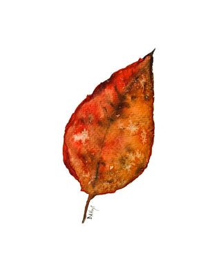 Autumn Series Greeting Cards