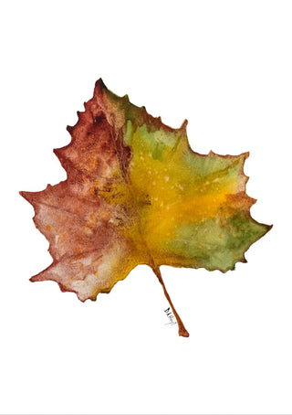 Autumn Series Greeting Cards