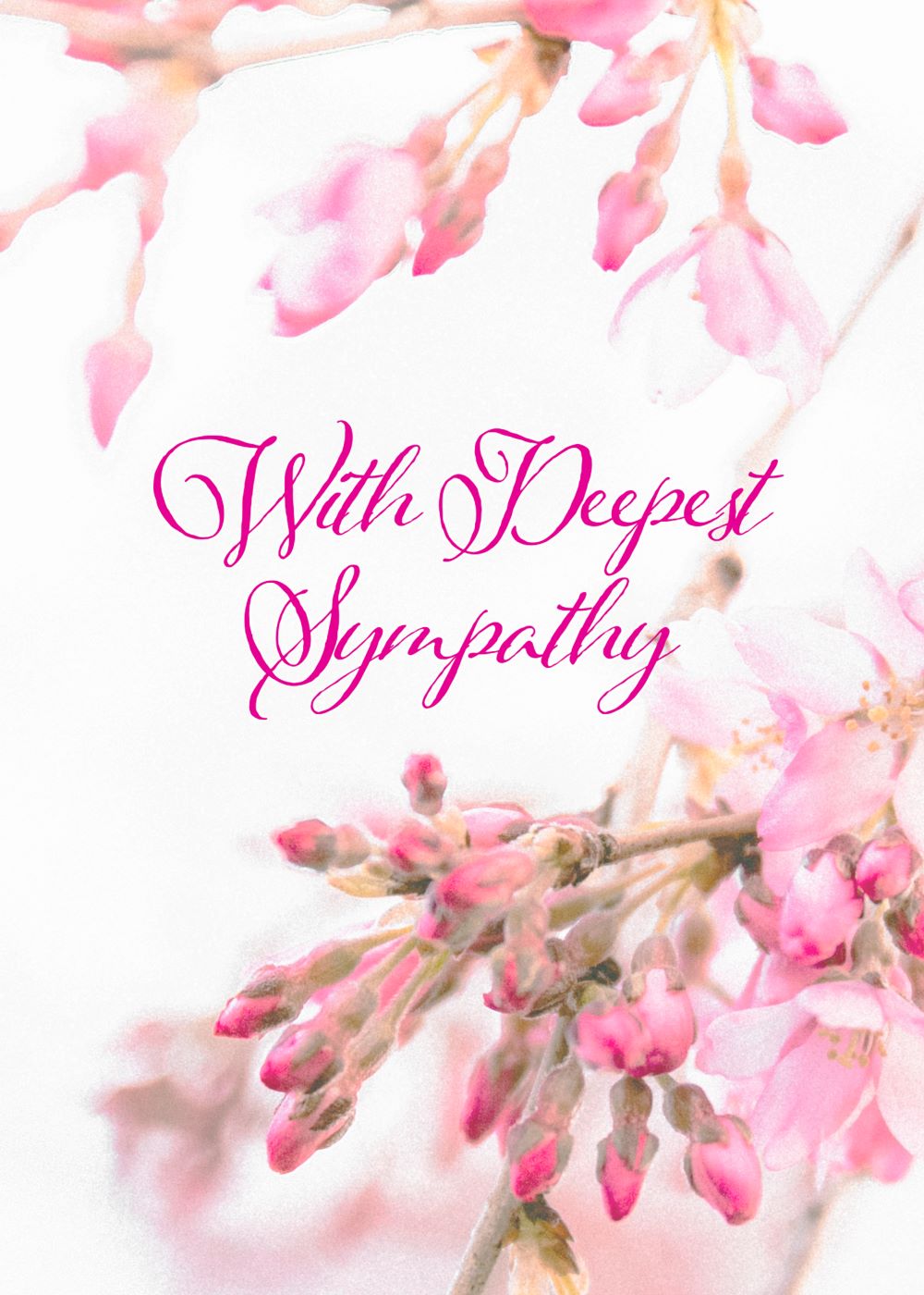 Sympathy - Greeting Cards