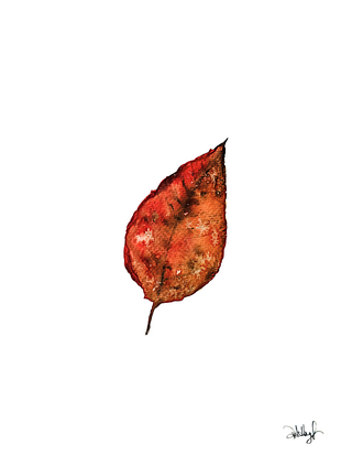 Notecards:  Autumn Vibes and Halloween Fun